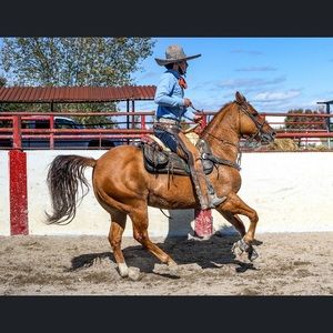 Meet your Posher, Erick